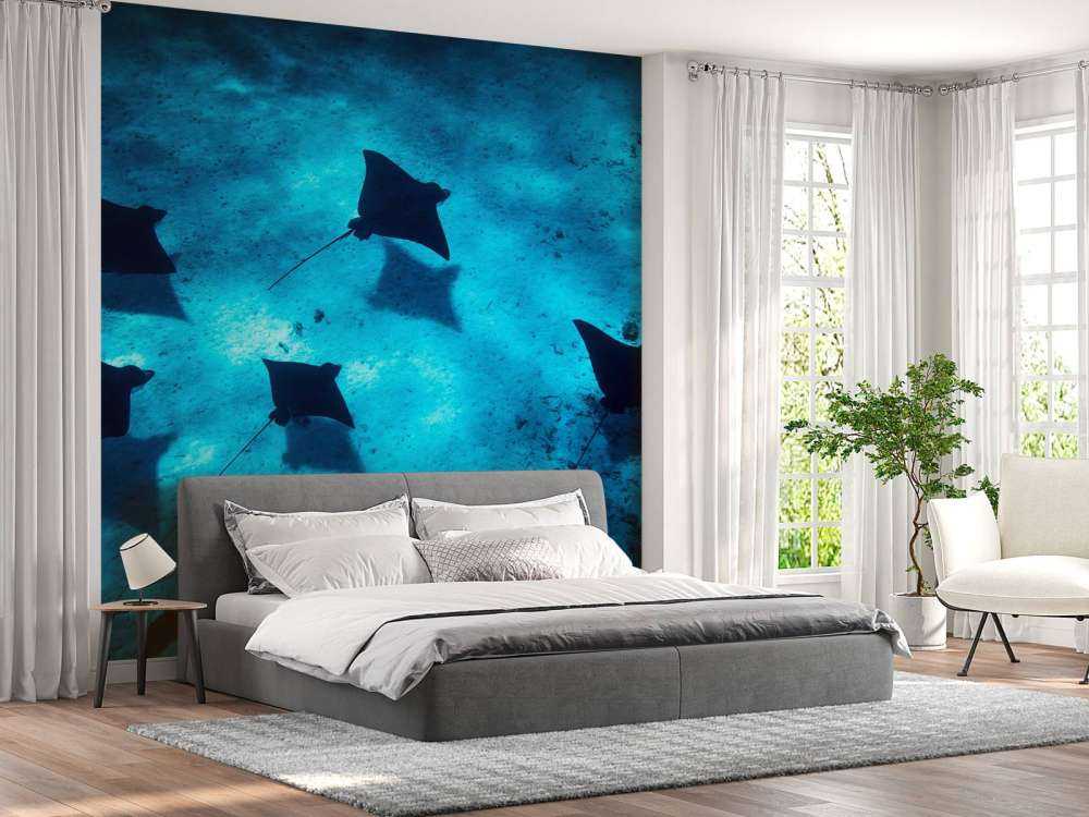 Mantaroggen zwevend door diepblauw rif