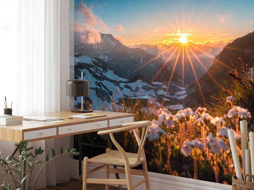 Zonlicht over alpenweide