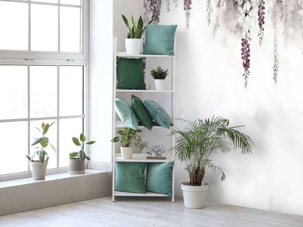 Gentle Wisteria Garden White