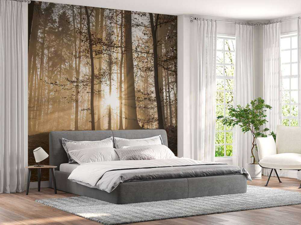 Zonnestralen in een mistig bos