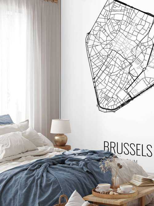 Unieke kaart van Brussel