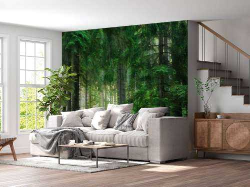 Groen naaldbomen bos