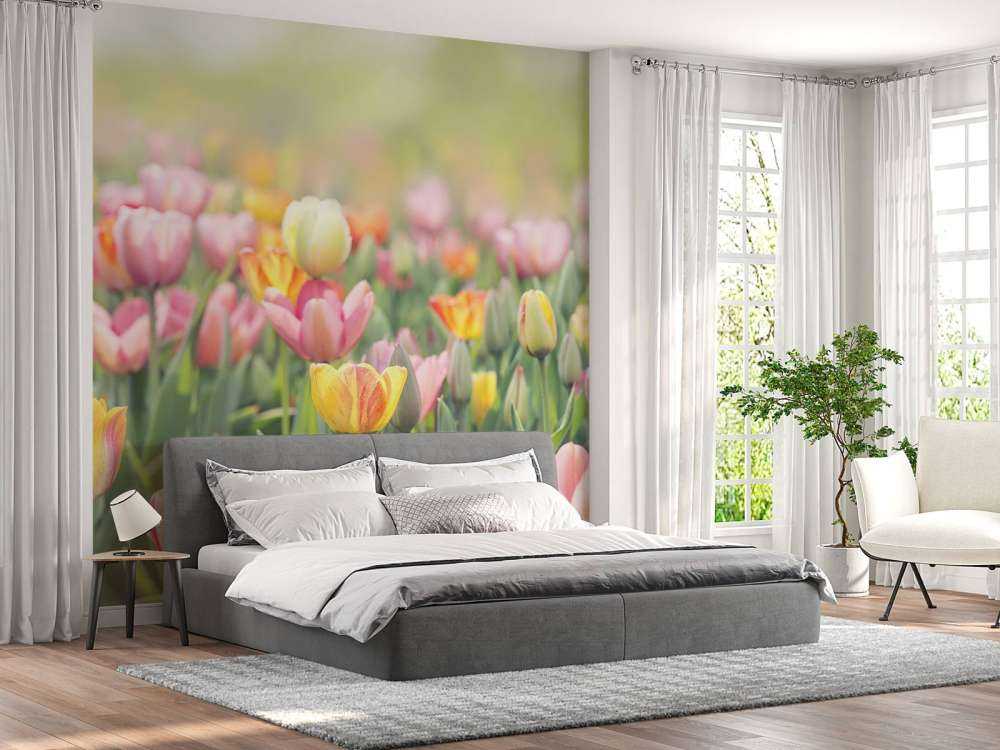 Kleurrijke tulpen