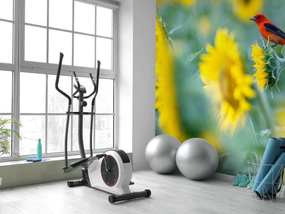 Zonnebloemenveld met rood vogeltje