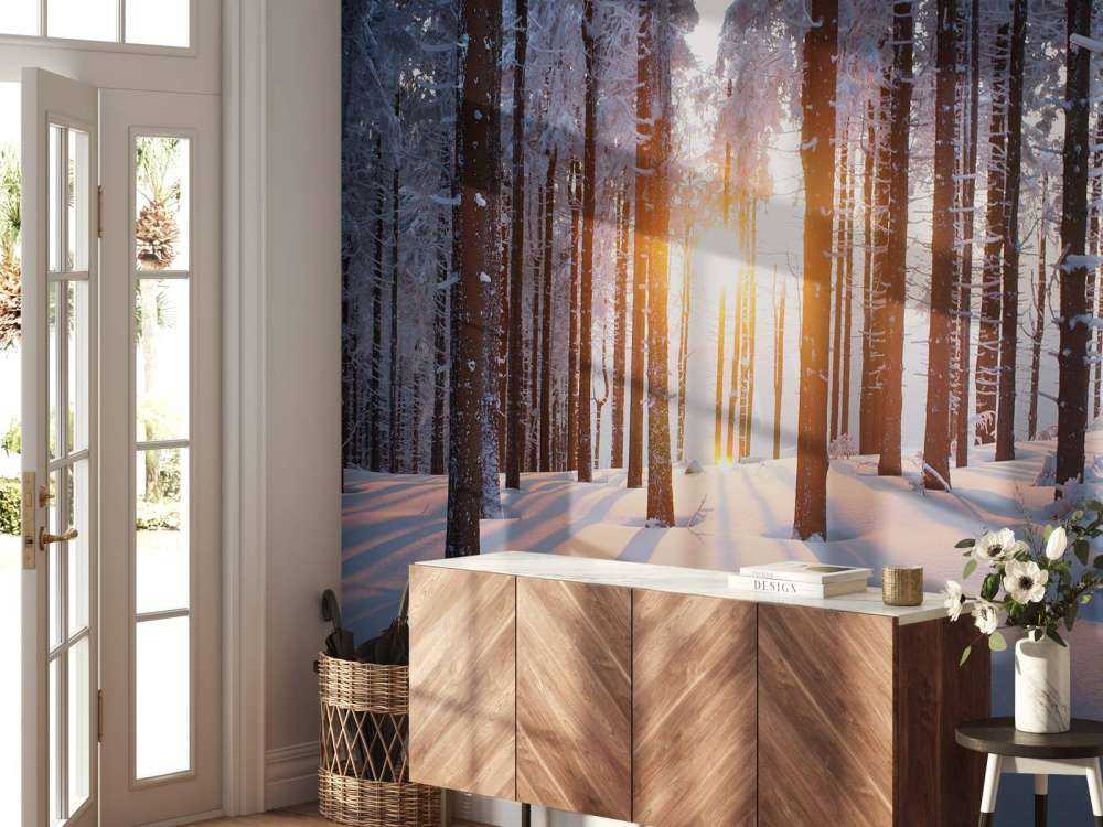 Zonsondergang in een winterbos