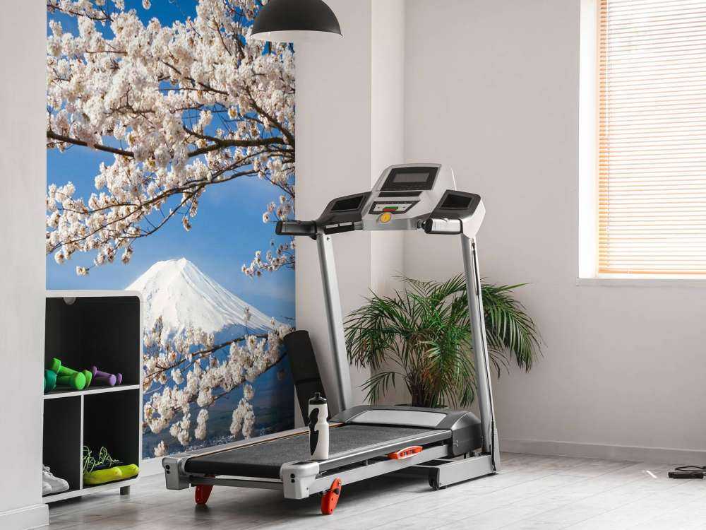 Bloesem voor de Fuji Berg