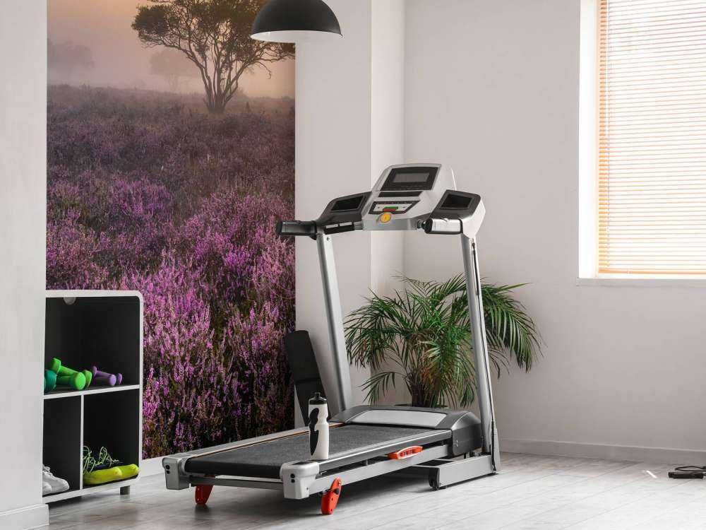 De Veluwe in de vroege ochtend