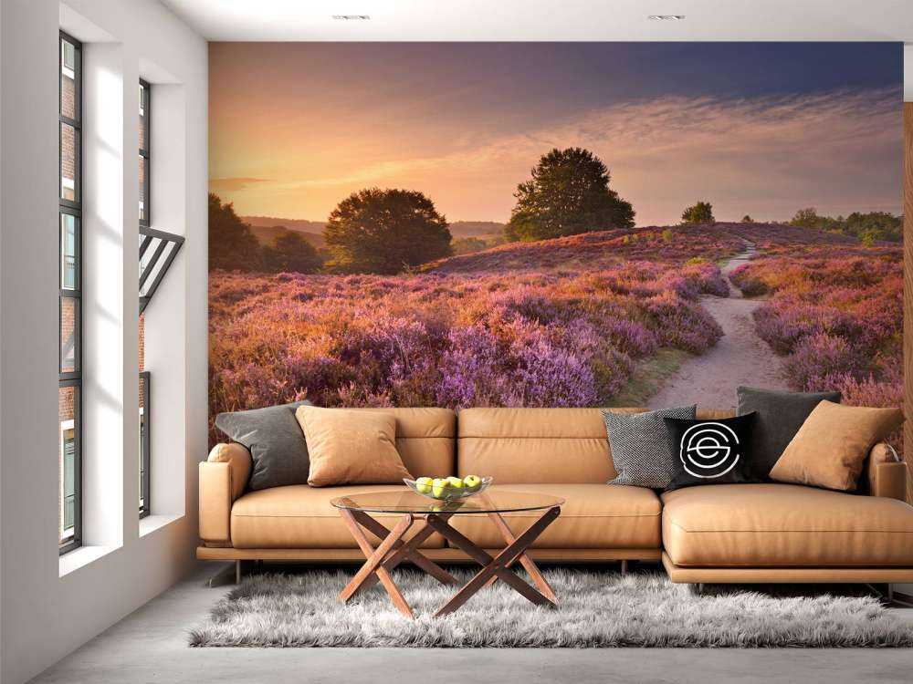 Pad met veel bloemen