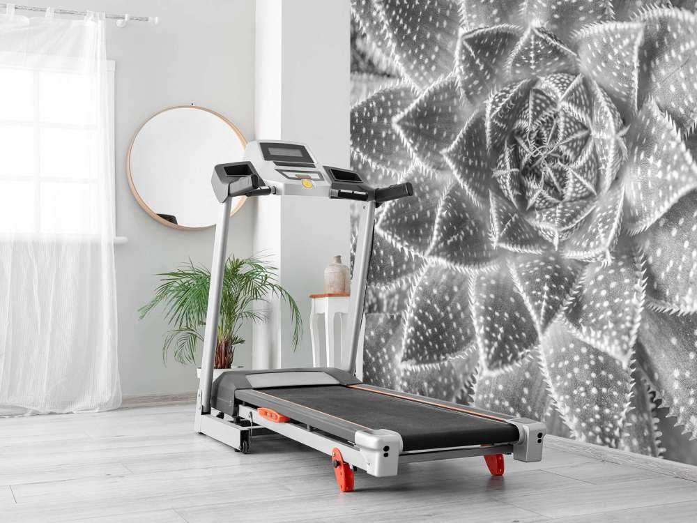 Close-up vetplant in zwart-wit