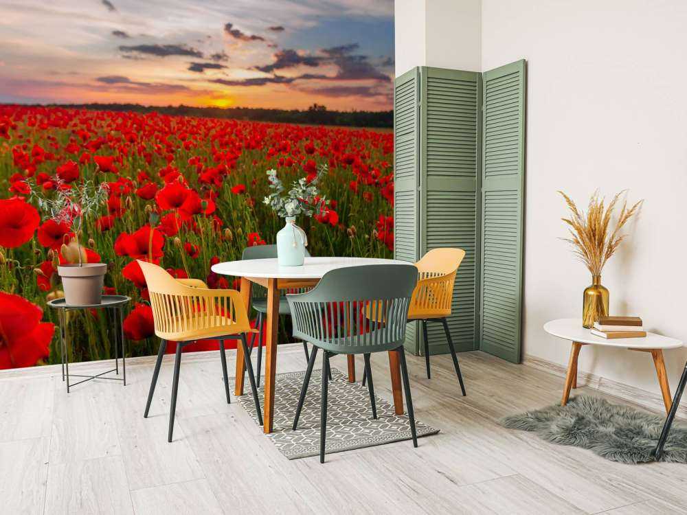 Rode klaprozenveld bij zonsondergang