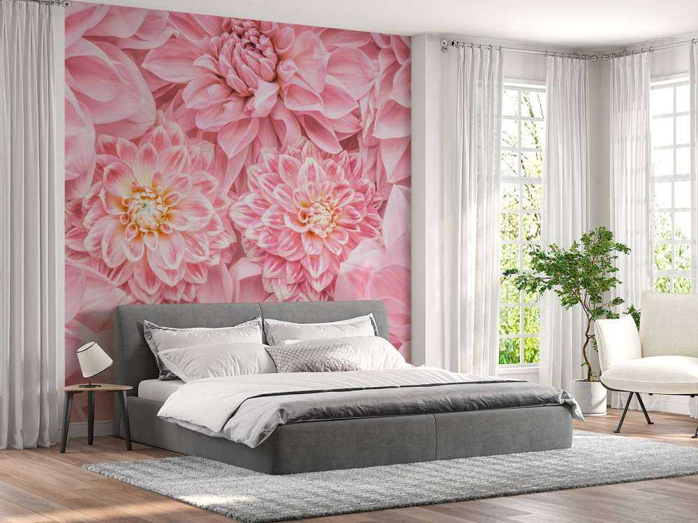 Roze bloemen met een gele kern