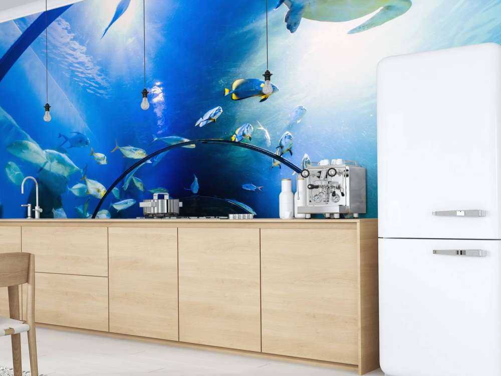 Bijzondere onderwater tunnel