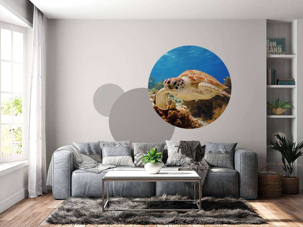 Groene zeeschildpad aan het zwemmen