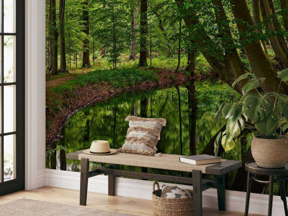 Gebogen bomen aan het water