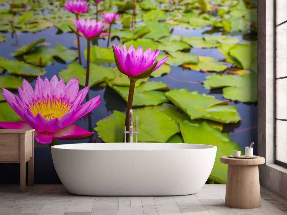 Opvallende roze lotusbloem