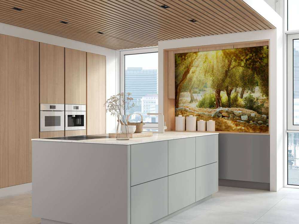 Mediterrane Olijven Boomgaard