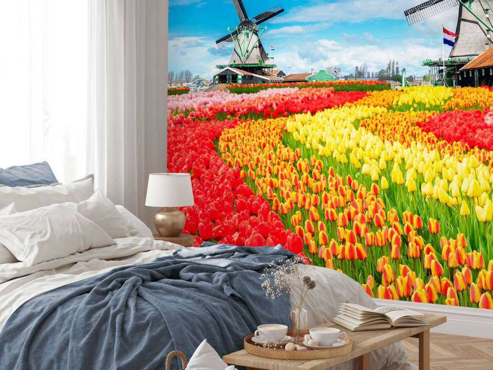 Kleurrijke tulpen creatie