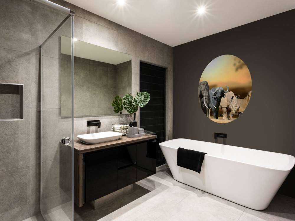 Grote Afrikaanse dieren