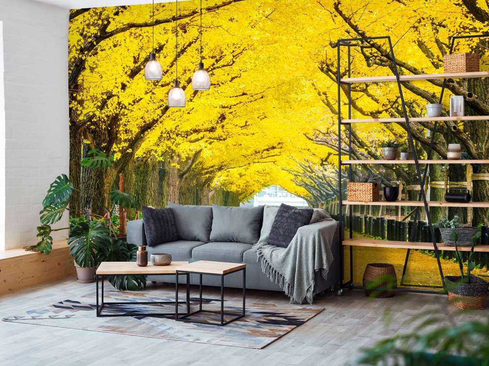 Twee rijen van gele ginkgobomen in de herfst