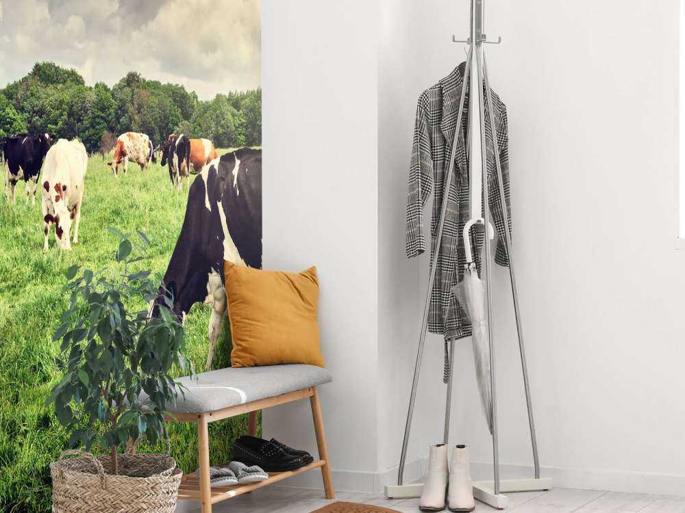 Koeien grazen in weide