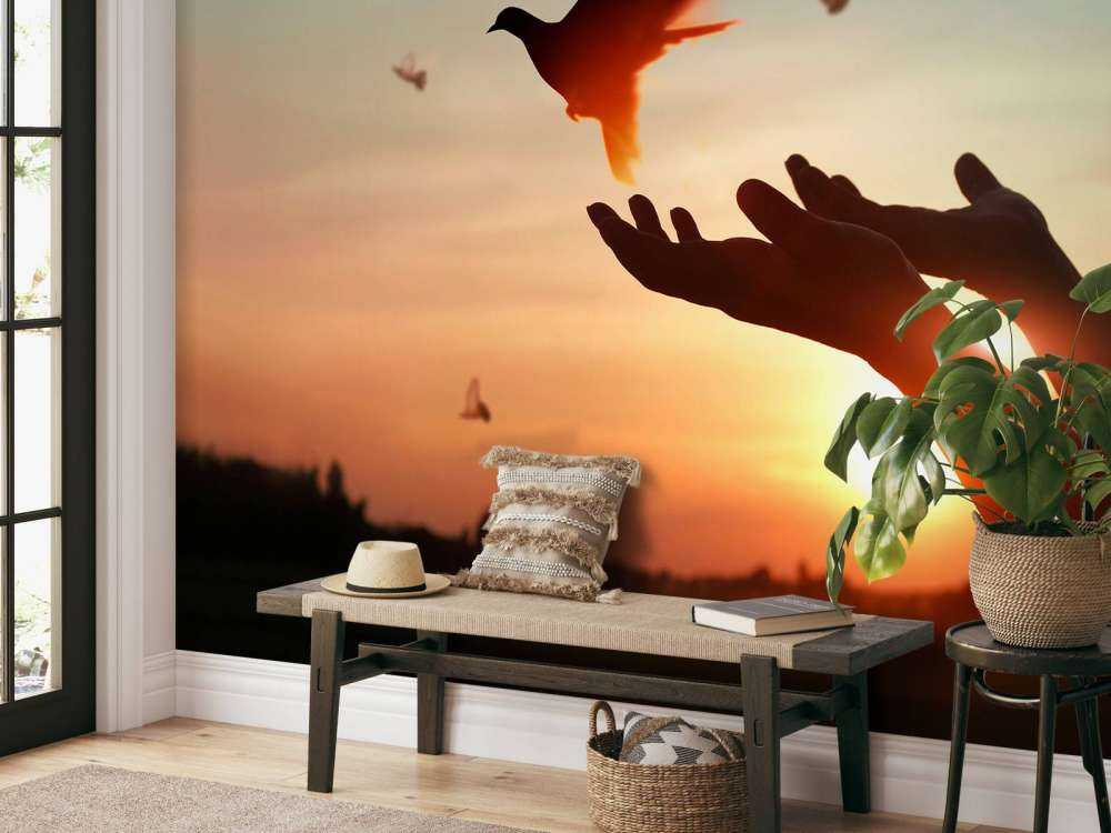 Duif bij zonsondergang