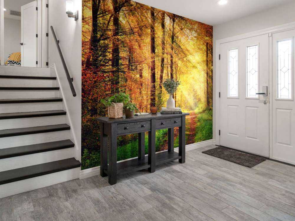 Zonsopkomst in het bos