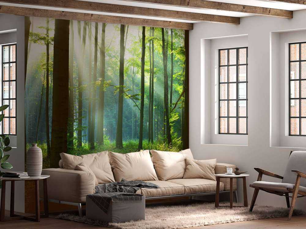 s Ochtends in het bos