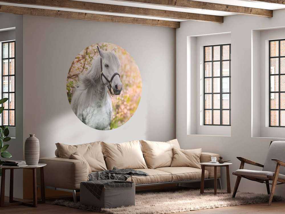 Wit Paard met Bloesem in Lente