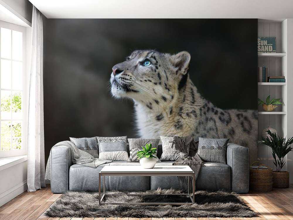 Sneeuwpanter met blauwe ogen