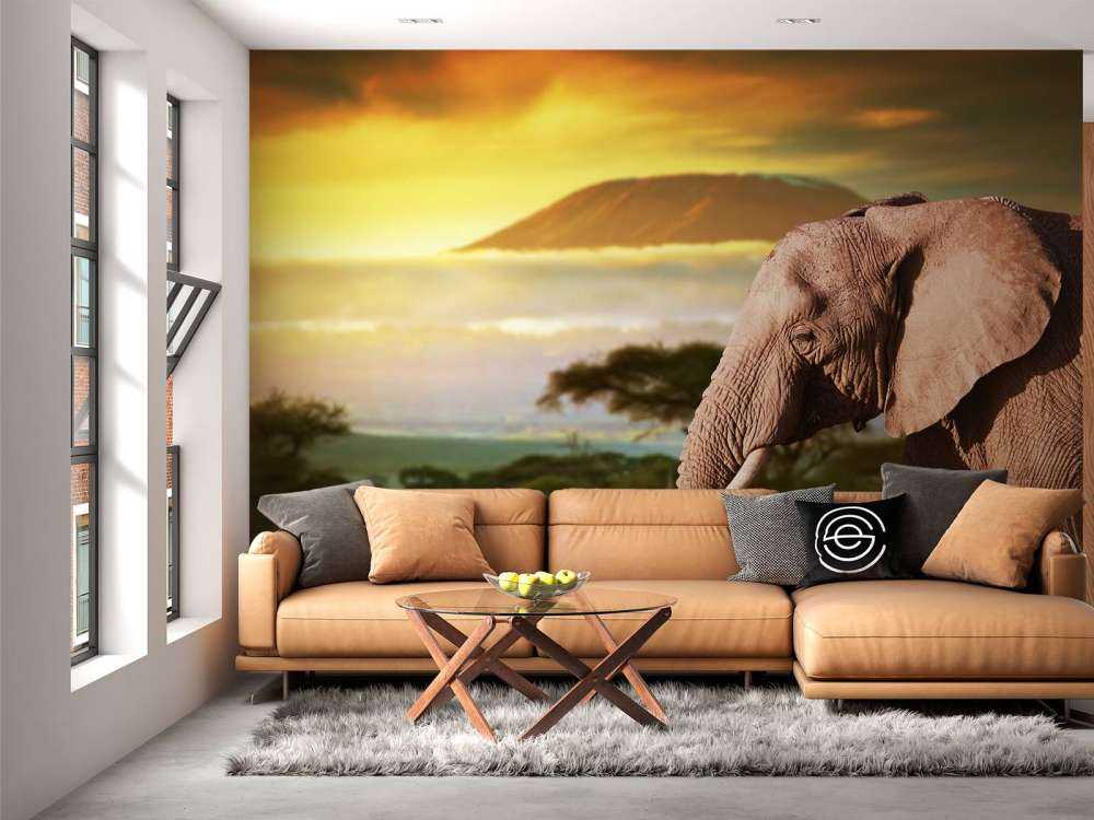 Olifant in een savanne landschap bij zonsondergang