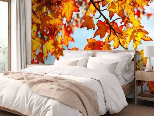 Herfst bladeren