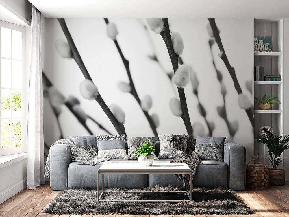 Boswilg in zwart-wit