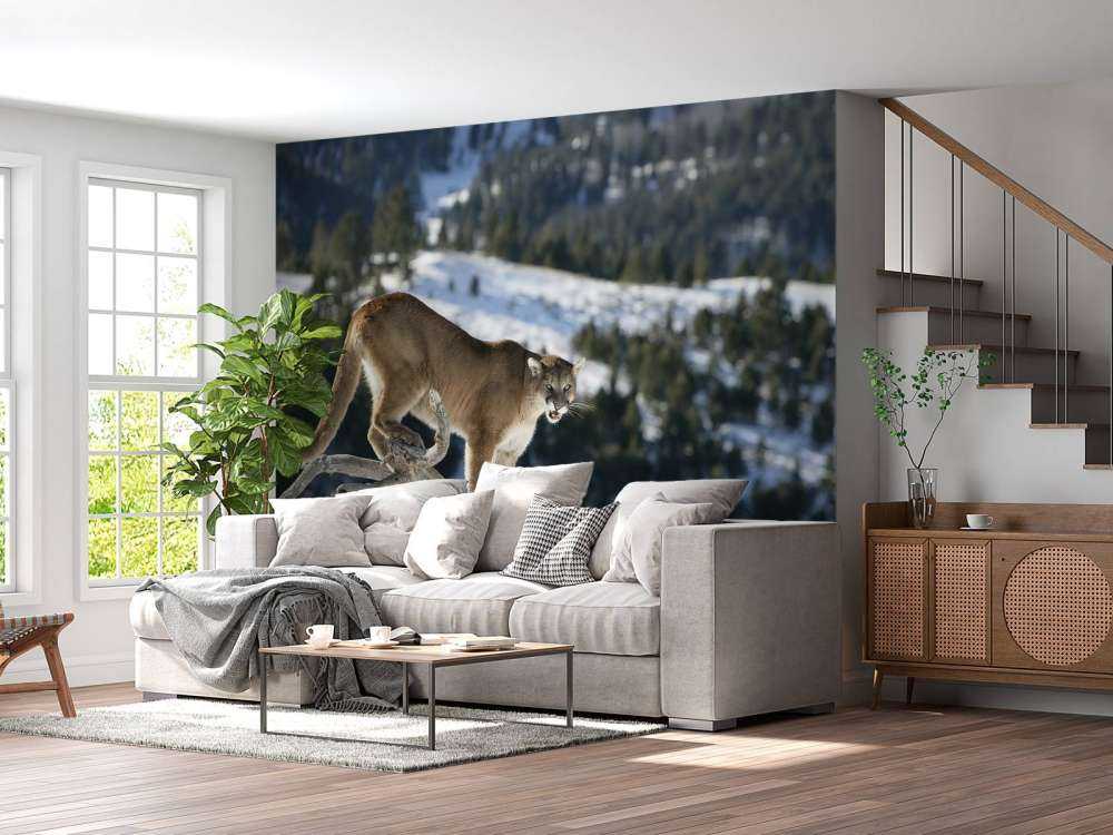 Bergleeuw op een dode boom