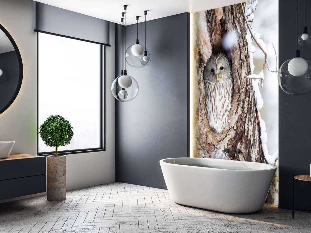 Witte uil in een holle boom