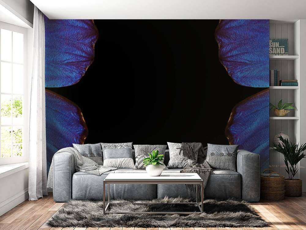 Twee vlinders met een zwarte achtergrond