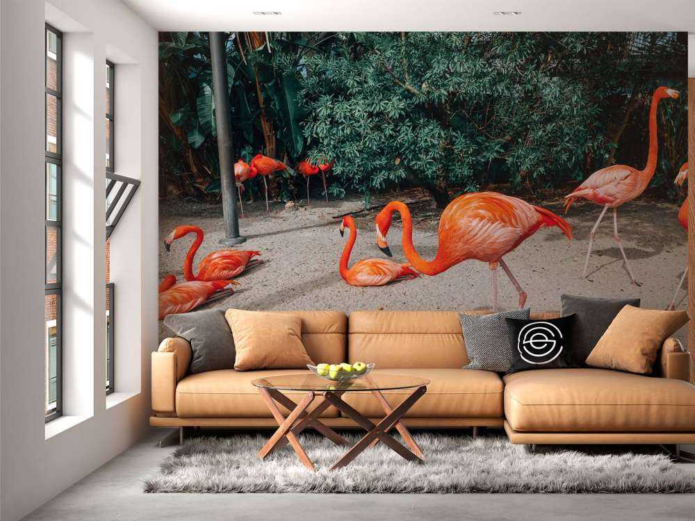 Flamingo's op een Caribisch eiland