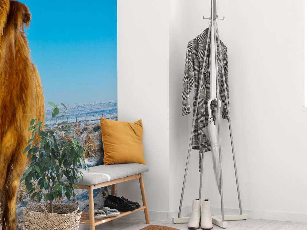 Schotse Hooglander met een blauwe lucht