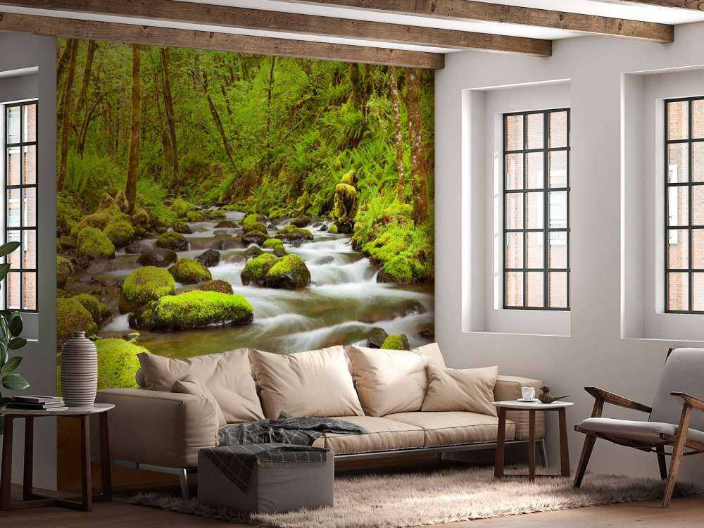 Rivier met veel stroming door het regenwoud