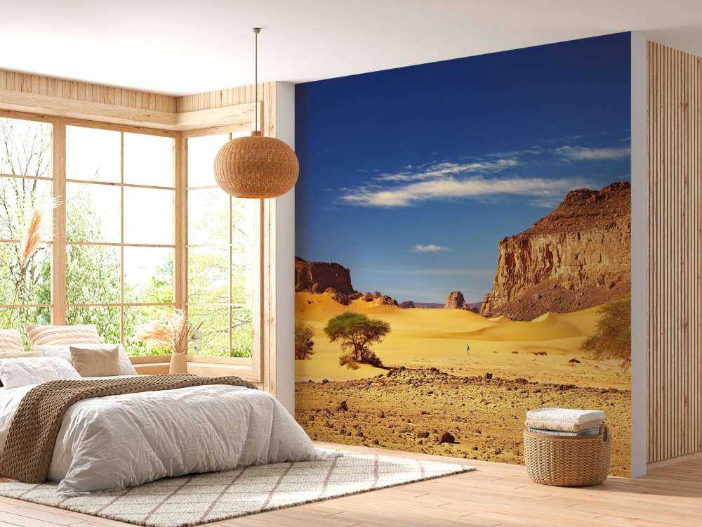 Woestijnlandschap met duinen en rotsen