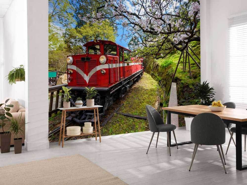 Rode trein door een parkje