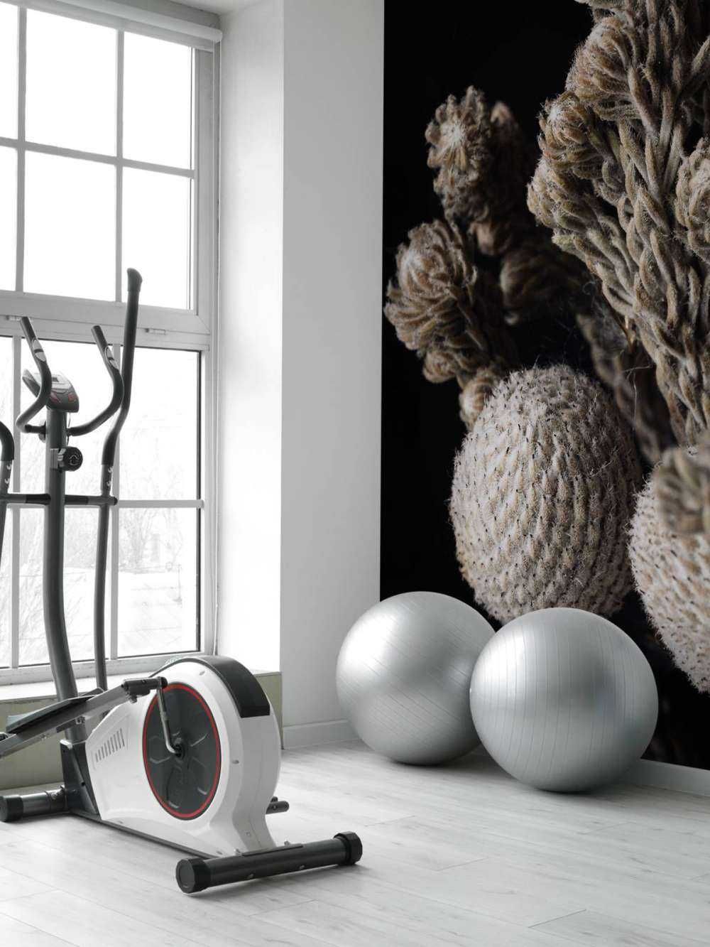 Close-up planten op zwart achtergrond