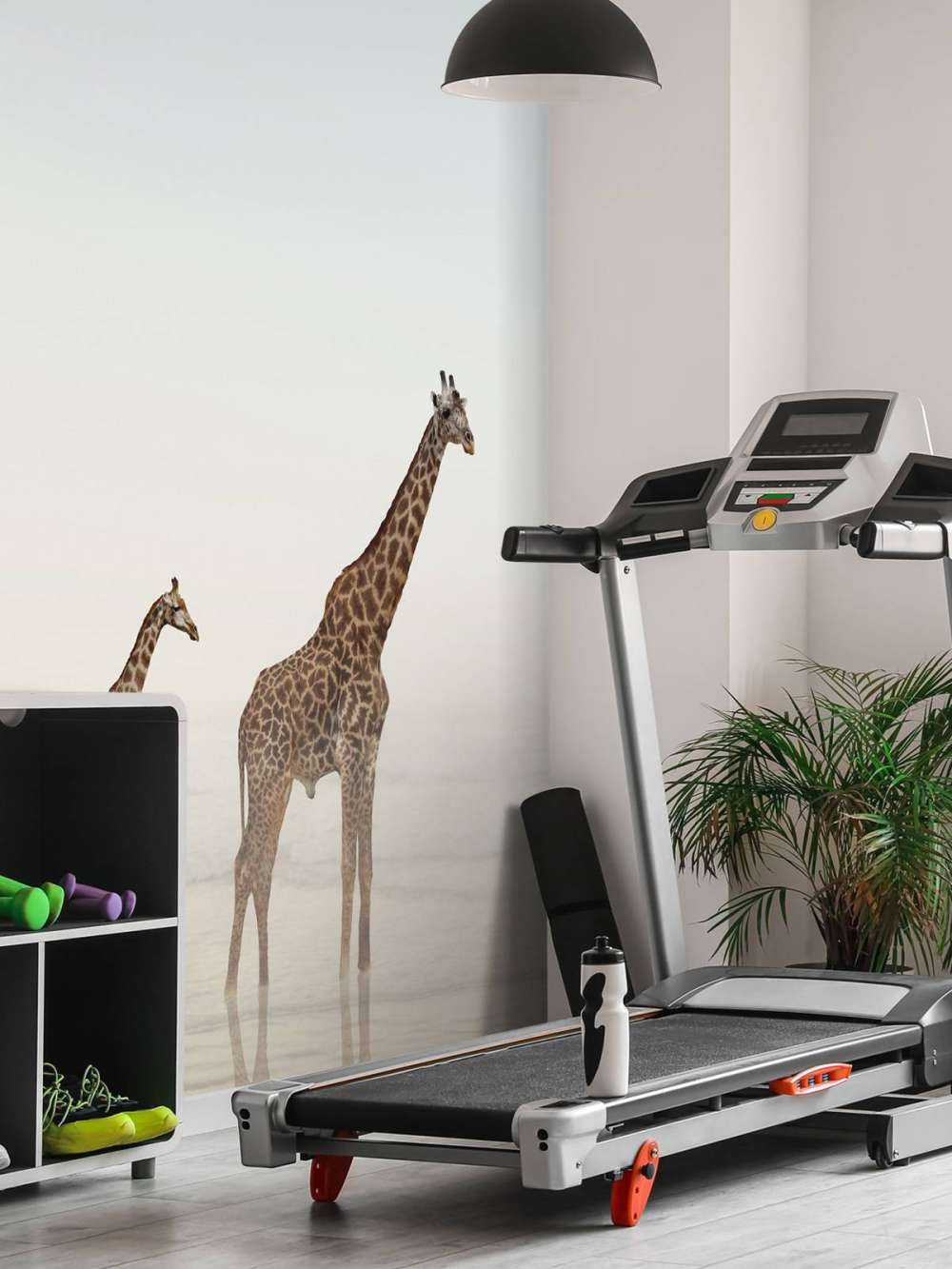 Giraffen op het strand