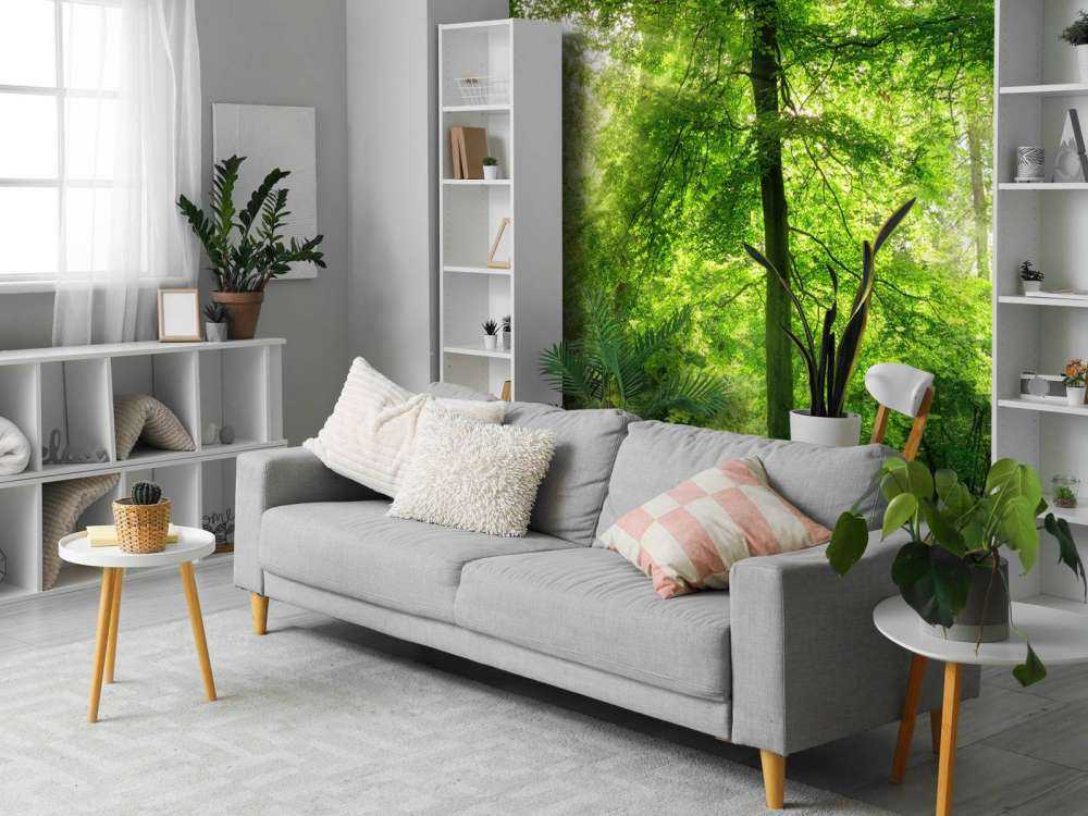 Bos met lichte nevel