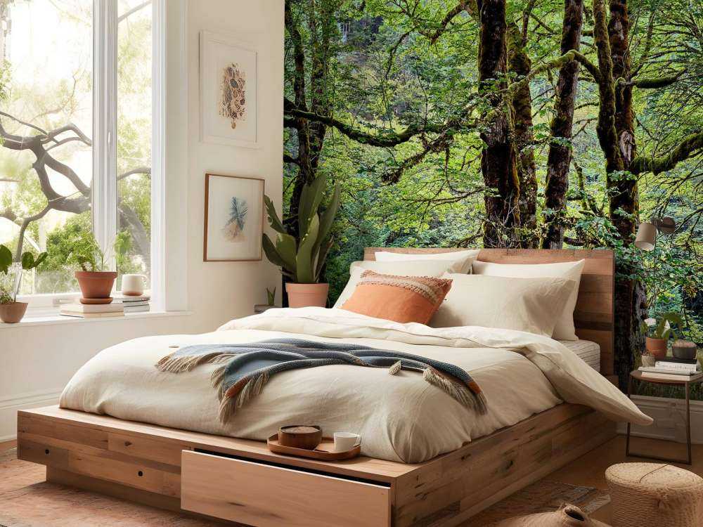 Bomen met mos