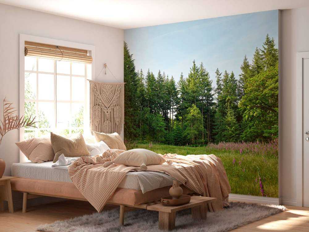 Verlaten plek in het bos