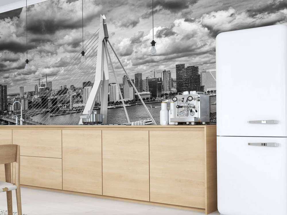 Rotterdam centrum vanaf grote hoogte in zwart wit  