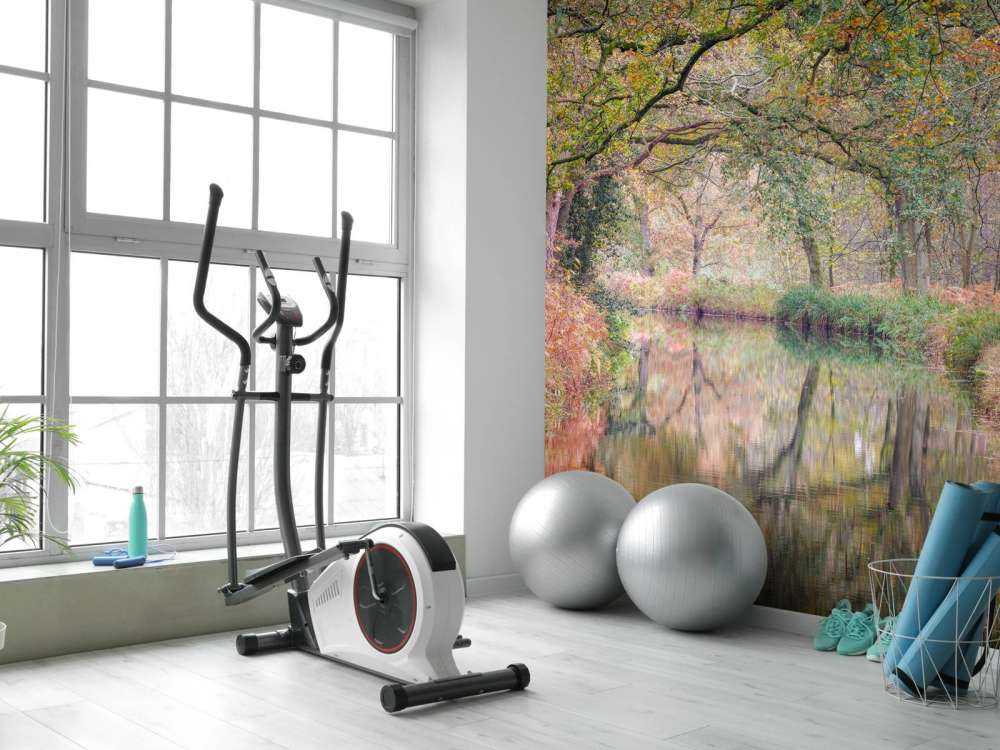 overdekt kleurrijk bos