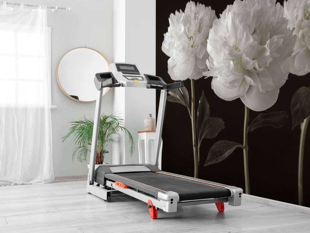 Drie witte pioenrozen