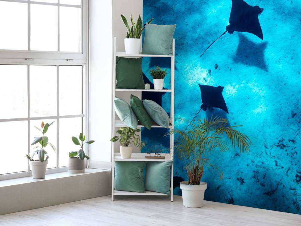 Mantaroggen zwevend door diepblauw rif