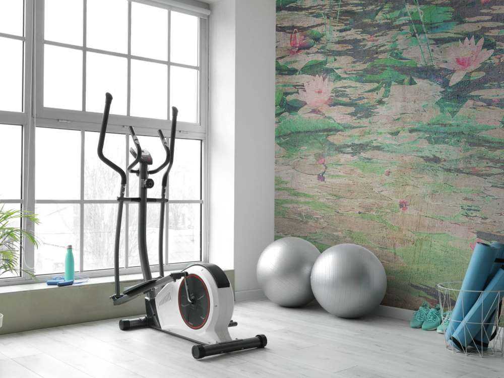 Waterlelies in vergrijsd vijverlicht